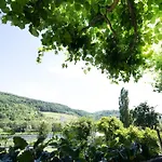 酒店 Boutiquehotel Kloster Pfalzel 3*