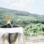 Boutiquehotel Kloster Pfalzel 酒店