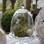 Boutiquehotel Kloster Pfalzel 3* 特里尔