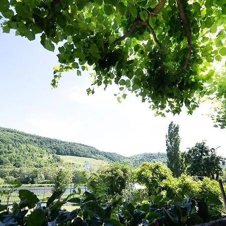 מלון Boutiquehotel Kloster Pfalzel 3*
