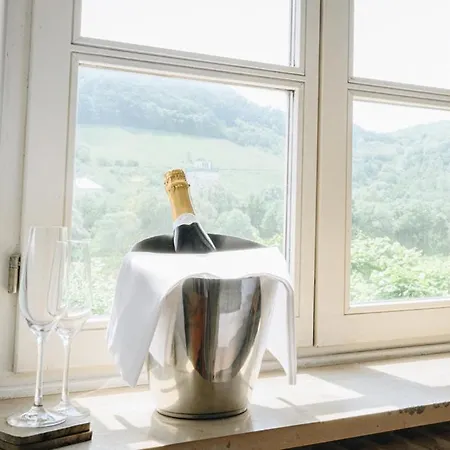 Boutiquehotel Kloster Pfalzel מלון 3*
