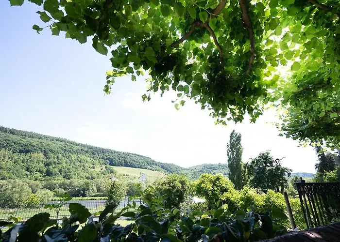 Ξενοδοχείο Boutiquehotel Kloster Pfalzel 3*