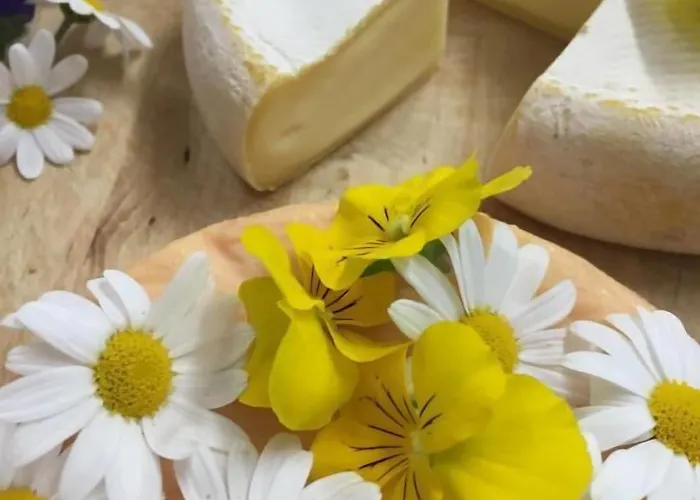 Hotel Boutiquehotel Kloster Pfalzel Trevír